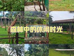 -海南热带野生动植物园