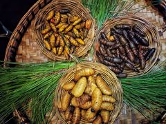 蝉-昆虫窝子·特色云南菜(拓东路总店)
