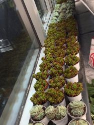 -丽心自助美甲美睫