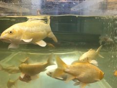 -中影国际影城(兰生大厦CINITY LED店)