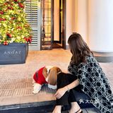 🎄+ 🐶 + 🍰圣诞buff叠满就在📍万象城