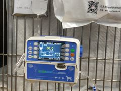 -瑞派·关忠动物医院·异宠专科·犬猫肿瘤·皮肤专科(望京店)