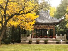 -汇龙潭