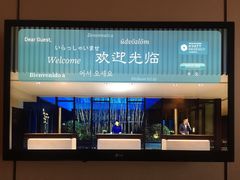 -上海崇明金茂凯悦酒店