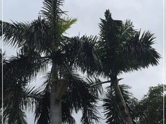 -广州市白云山风景名胜区