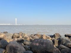 -上海吴淞炮台湾国家湿地公园
