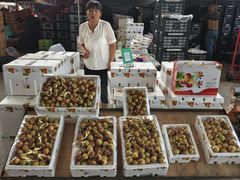 -东方鼎信农副产品交易中心