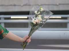 -溪岸路花鸟市场