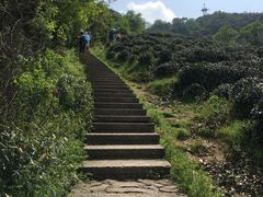 -西湖风景区十里琅珰-五云山