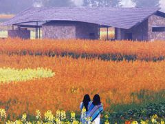 -白鹭湾湿地公园