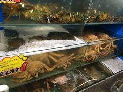 -蚝专家(北滘店)