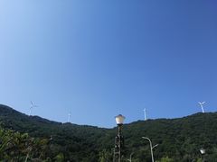 -钱大妈海鲜饭店(保利林语店)