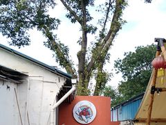 -光头佬室内钓虾场·烧烤·团建·亲子(中山八路店)