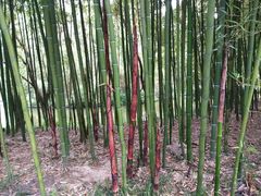 -荆川公园