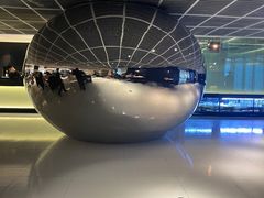 -CHIC1699远洋私厨