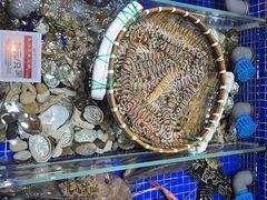 -高佳庄·舟山海鲜(海景旗舰店)