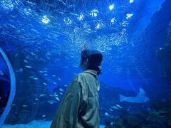 -成都浩海立方海洋公园