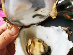 -邹记·美食(斗门店)