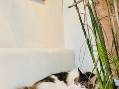 -小时光咖啡馆(北锣鼓巷店)