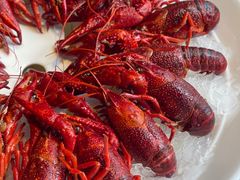 -红盔甲·小龙虾(人民广场店)