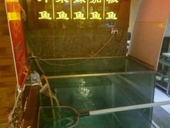 -丰乐斑鱼庄(建业·壹号城邦店)