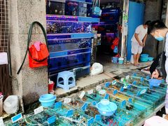 -清平路水族市场