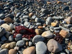 -银沙滩浴场