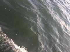 -西湖游船