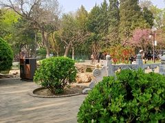 -宣武艺园