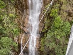 -九龙江国家森林公园