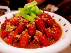 -96农蝎虾(江桥老街店)