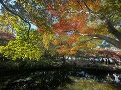 -秋霞圃