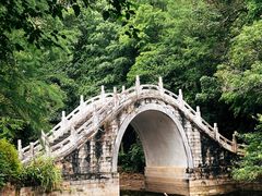 -深圳仙湖植物园