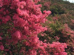 -木兰云雾山