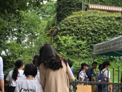 -三鹰之森吉卜力美术馆