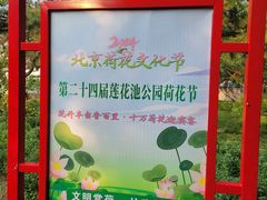 -莲花池公园