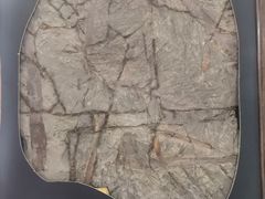 -中国第四纪冰川遗迹陈列馆