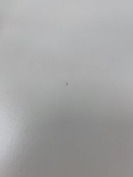 -奈尔宝家庭中心·亲子餐厅(北京东坝万达店)