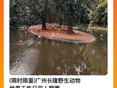 -广州长隆野生动物世界