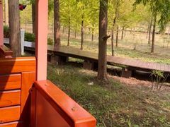 -黄海国家森林公园