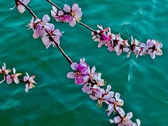 -颐和园