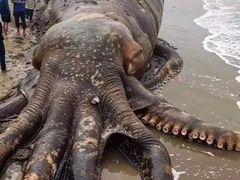 -卤来丫·现捞热卤(恒大城店)