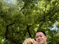 -杨家堂村
