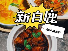 -新白鹿餐厅(金鹰新街口店)