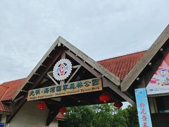 -上海海湾国家森林公园