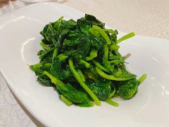 清炒豌豆尖-辣婆婆(航天桥店)