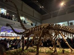 -自贡恐龙博物馆