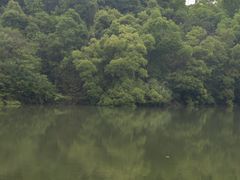 -青龙山国家森林公园