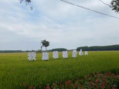 -嘉北郊野公园
