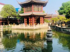 -碧江金楼